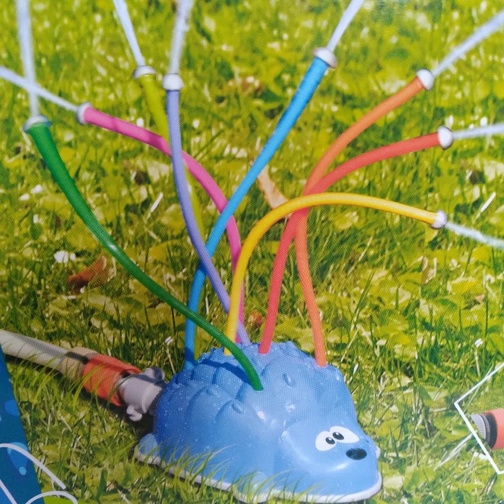 Kids Swim Wild Aqua Sprinkler Hedgehog HARRY
